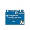 FAMOKSYD III - Grubopowłokowa emalia epoksydowa do zbiorników na produkty spożywcze